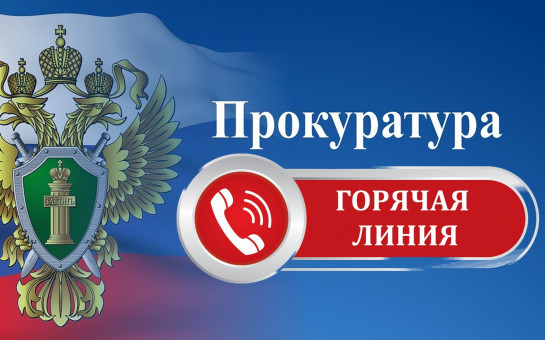 «Горячая линия» по вопросам обеспечения граждан древесиной для собственных нужд на территории Новосибирской области